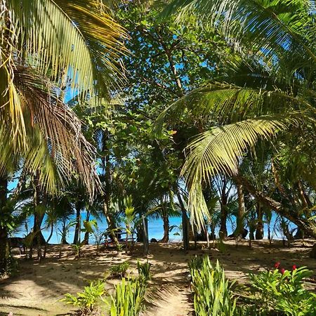 Drago Beach House - Private Beach Boca del Drago Exterior foto