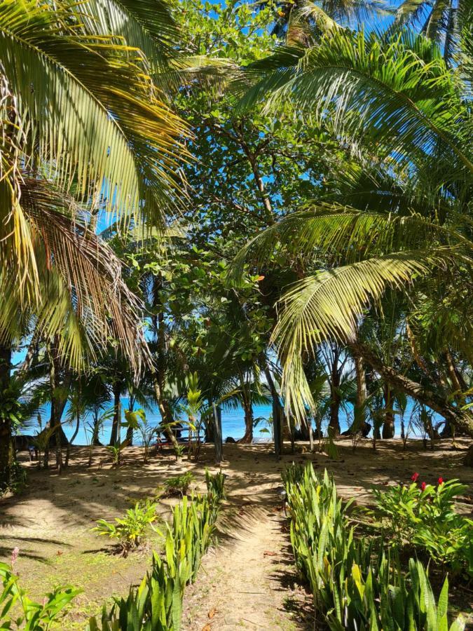 Drago Beach House - Private Beach Boca del Drago Exterior foto