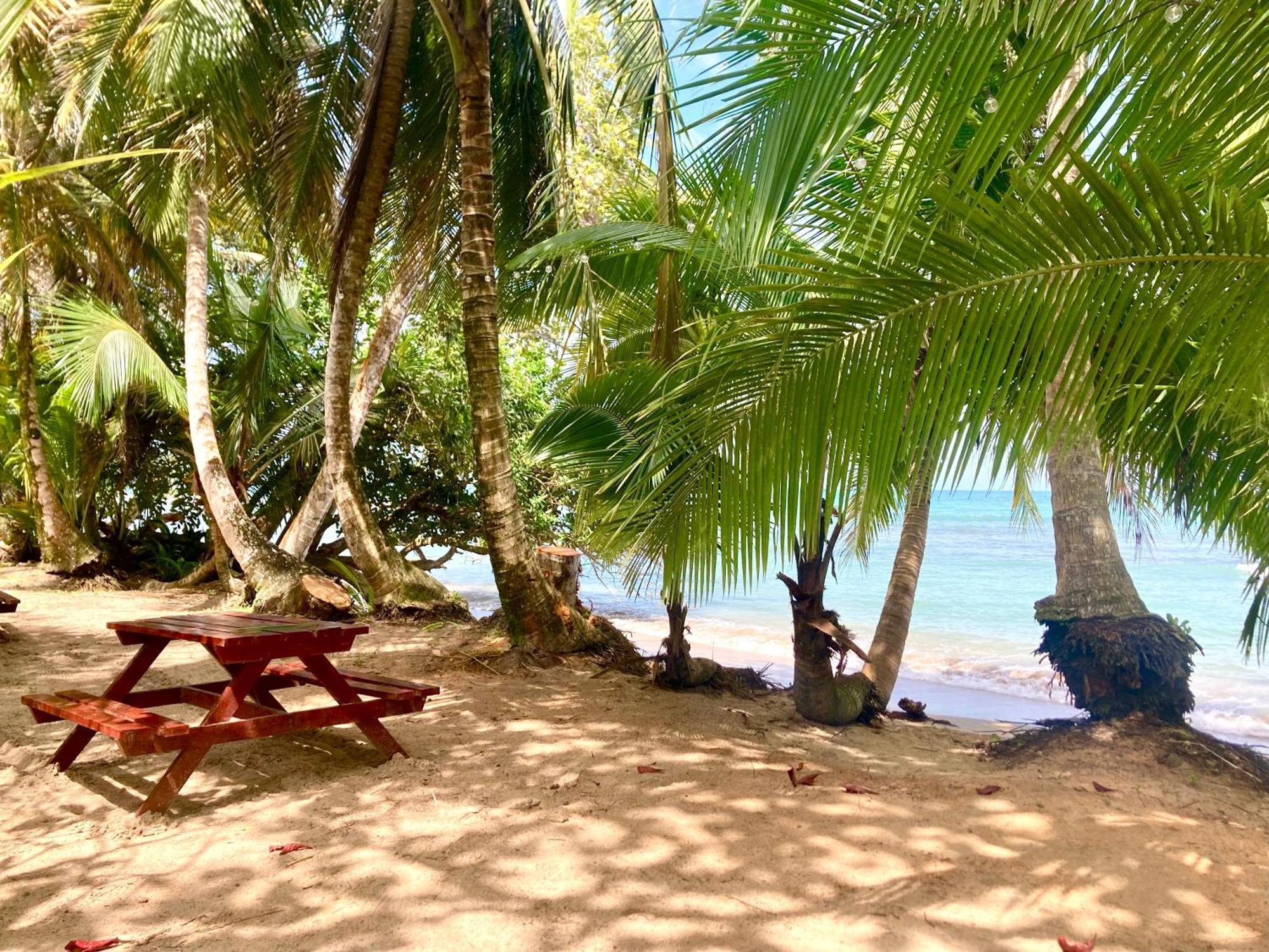 Drago Beach House - Private Beach Boca del Drago Exterior foto