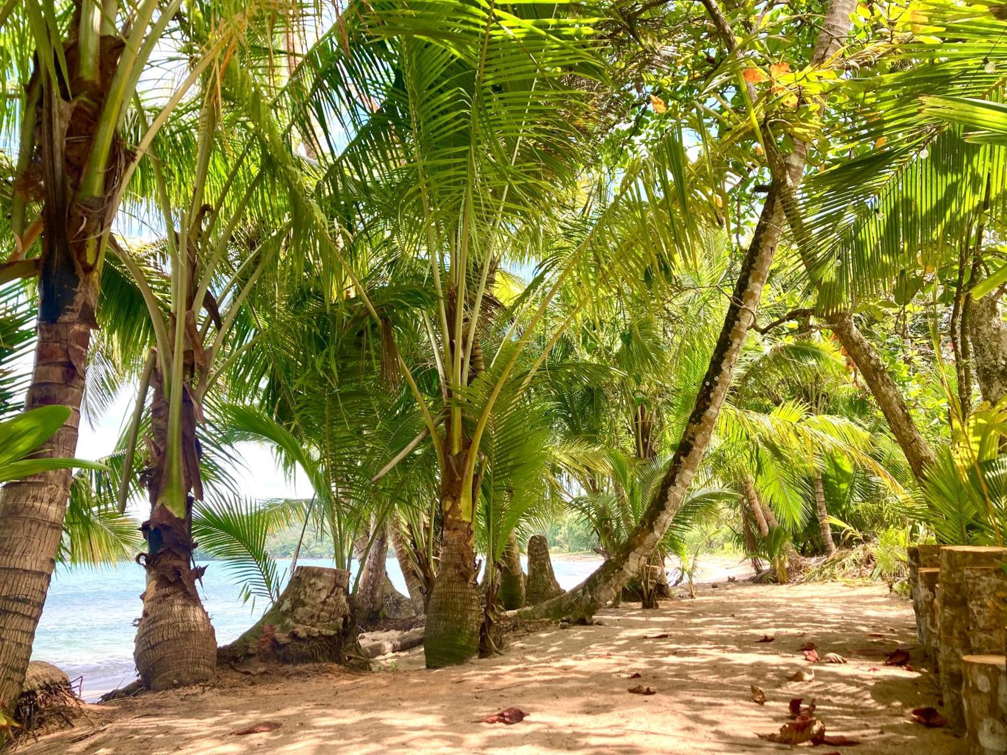 Drago Beach House - Private Beach Boca del Drago Exterior foto