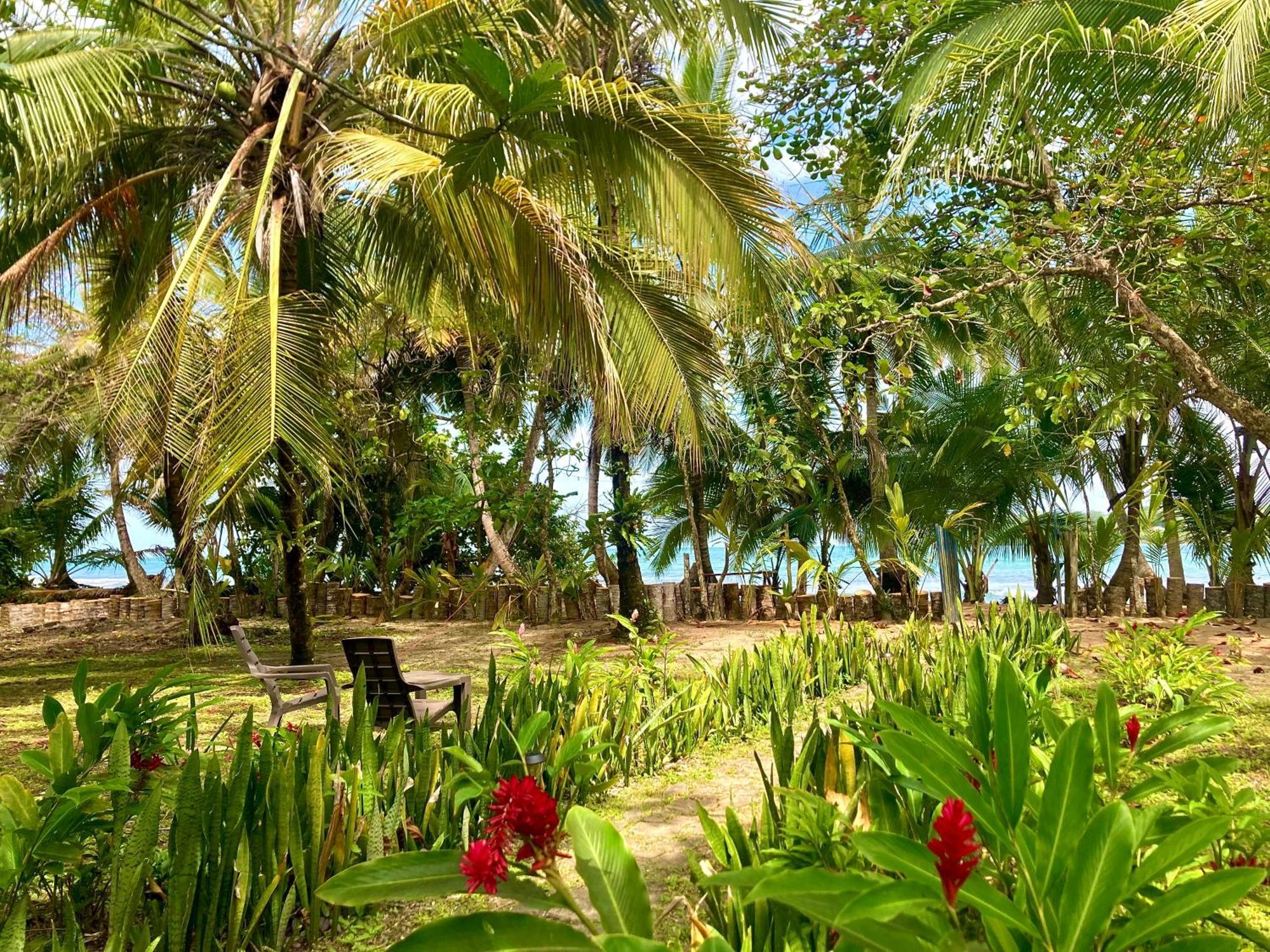 Drago Beach House - Private Beach Boca del Drago Exterior foto