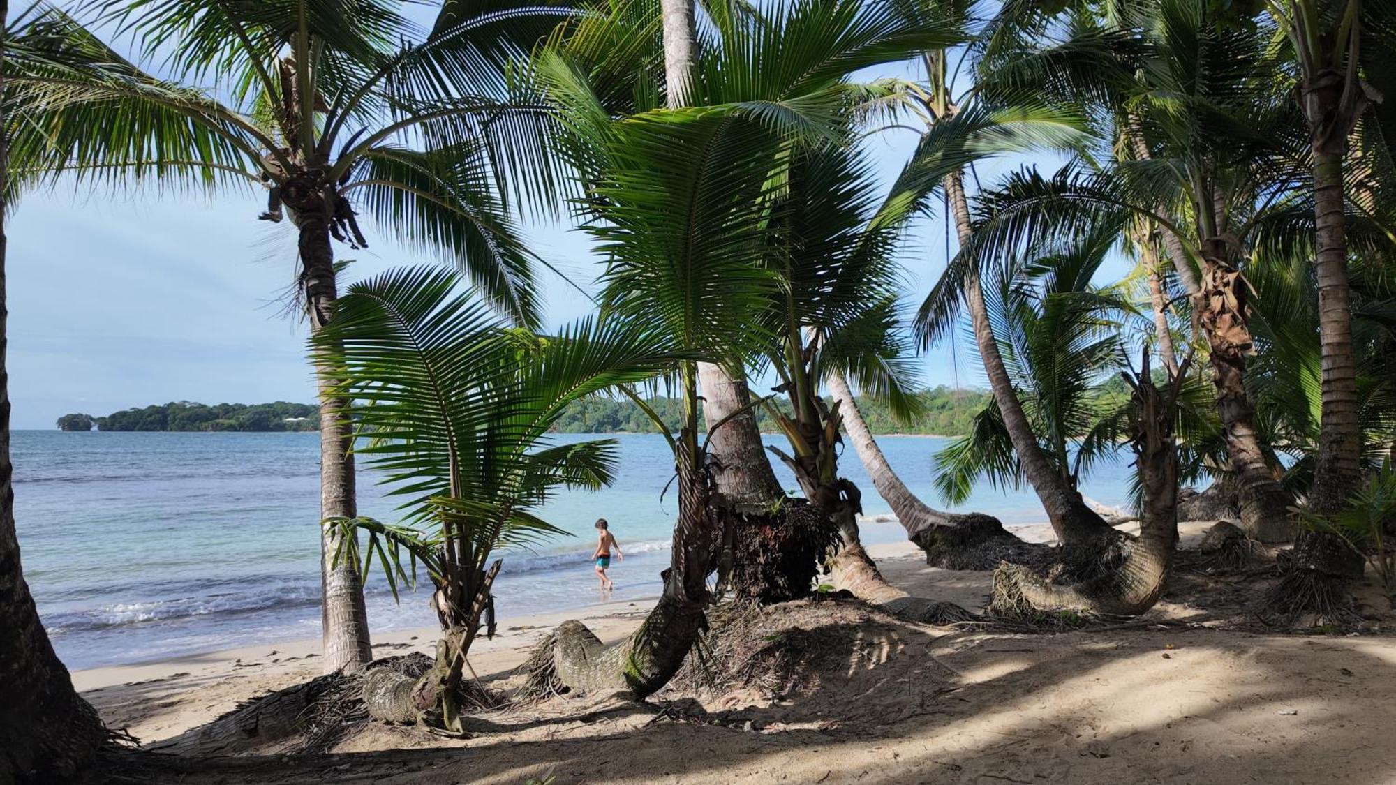 Drago Beach House - Private Beach Boca del Drago Exterior foto